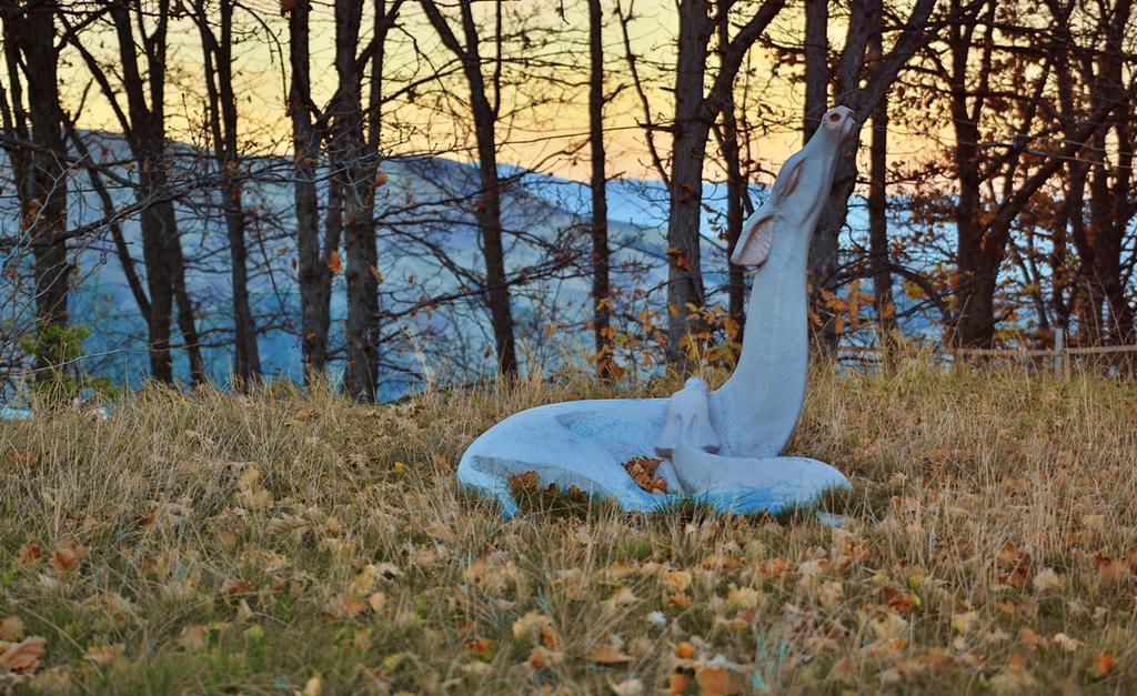 ホテル Дом Писателей Цахкадзора エクステリア 写真